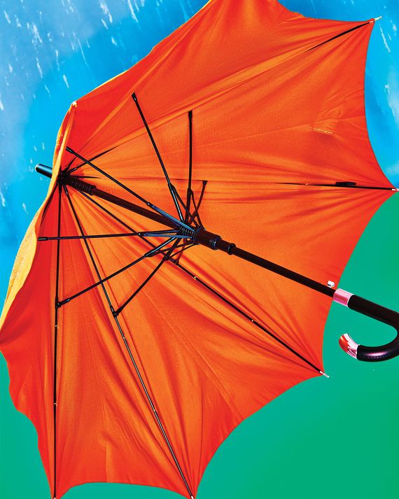 Ladies Umbrella