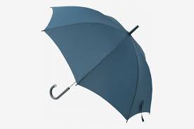 Men's Umbrella